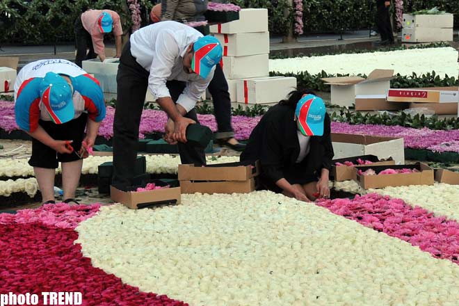 Bakı parklarında Gül bayramı keçirilir - FOTOSESSİYA